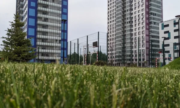 Россияне назвали причины возвращения из загородных домов в город