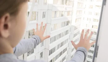 В Госдуме призвали производителей наносить на москитные сетки предупреждающие знаки