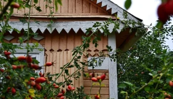 Россияне стали чаще останавливаться в квартирах и домах в путешествиях