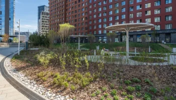 В жилом районе на Покровское-Стрешнево началось весеннее благоустройство