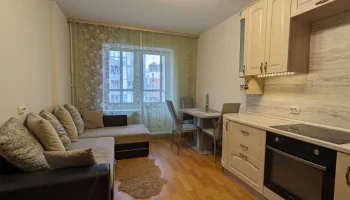 В России почти на четверть сократился рынок арендного жилья В России почти на четверть сократился рынок арендного жилья