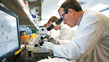 Российские ученые разработали способ превращения токсичных отходов в пластификаторы для ПВХ