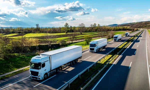 Международные перевозки грузов: как организовать доставку через границу