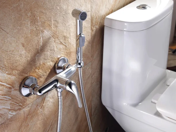 Для чего нужен гигиенический душ? Как его выбрать? Для чего нужен гигиенический душ? Как его выбрать?