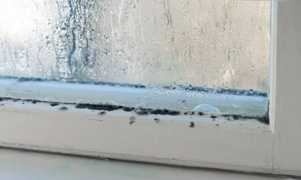Причины возникновения конденсата на пластиковых окнах