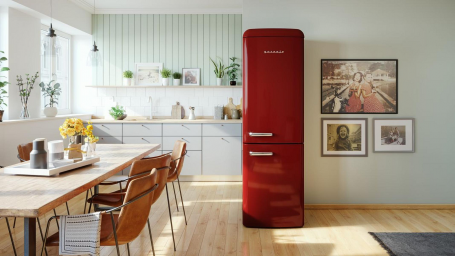 Ремонт холодильников Gorenje на дому