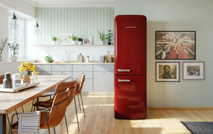 Ремонт холодильников Gorenje на дому