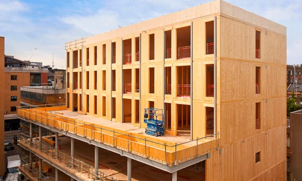 Быстрые и тёплые школы без бетона: как CLT-панели решают задачи соцстроя