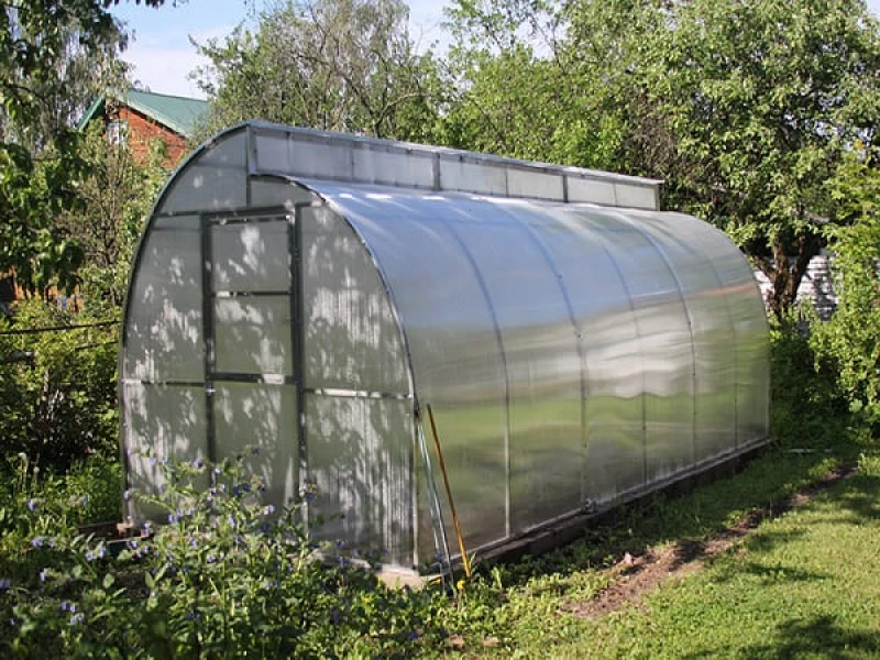 Теплицы по Митлайдеру: принципы, конструкция и преимущества для садоводов