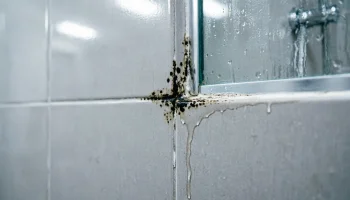 Где чаще всего протекает душ и как это вовремя обнаружить