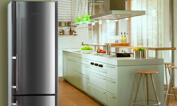 Холодильники из нержавеющей стали