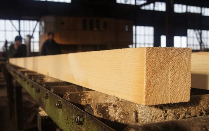 Производство модифицированной древесины по инновационной технологии запустят в Тверской области