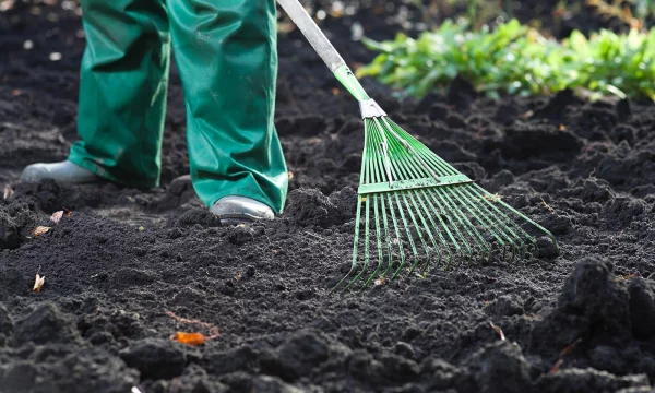 Как подготовить почву к посеву газона?