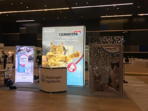 Комплексный обзор мобильных стендов и рекламных конструкций для выставок и презентаций
