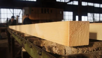 Производство модифицированной древесины по инновационной технологии запустят в Тверской области