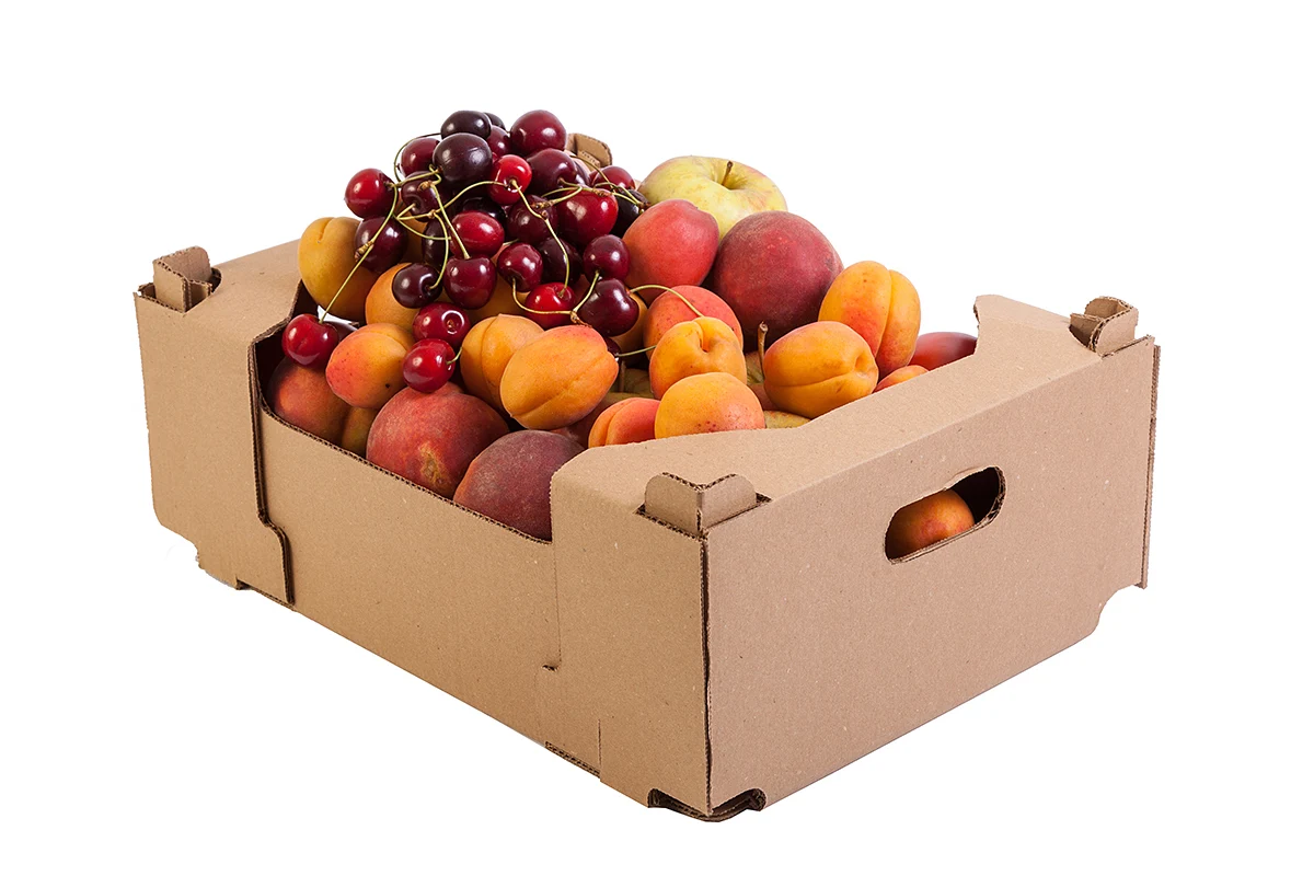 Производство упаковки: технологии, материалы и современные решения