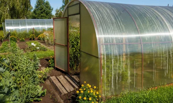 Почему поликарбонат желтеет и как сохранить его прозрачность на годы