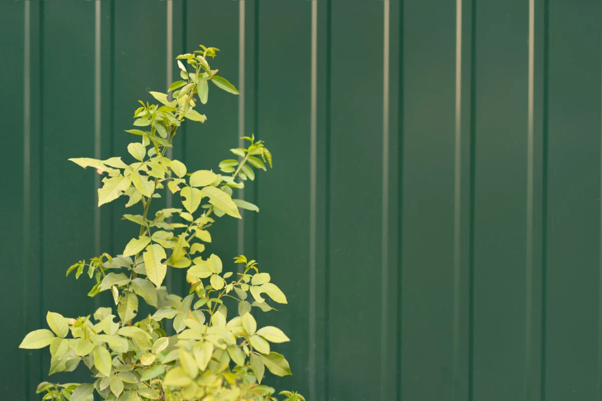 Заборы под ключ: надёжное ограждение для вашего участка Заборы под ключ: надёжное ограждение для вашего участка