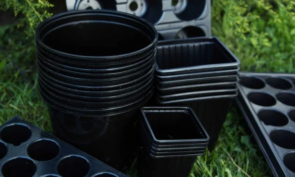 Товары для дачи и отдыха: как выбрать все для сада, огорода и комфорта