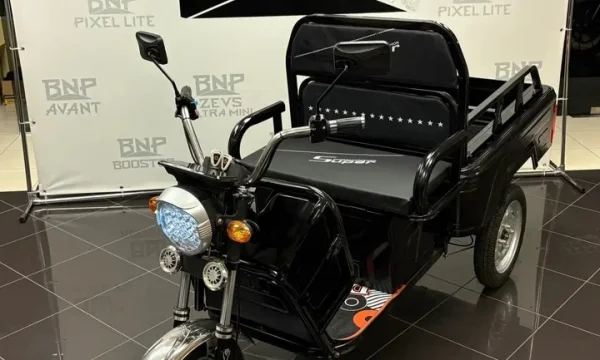 Трицикл Электрический BNP Zevs ULTRA MINI 0
