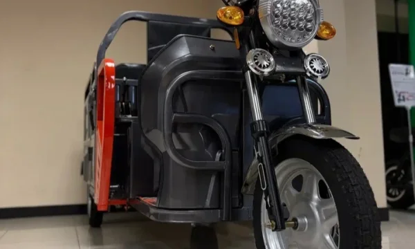 Трицикл Электрический BNP Zevs ULTRA COMBI 0