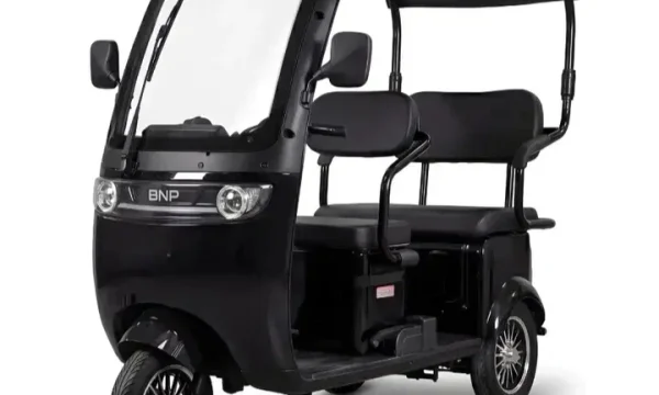 Трицикл электрический Zevs Pro Roof 0