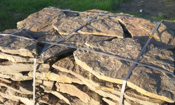 Природный камень Дракон 1