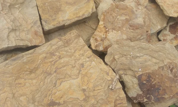 Природный камень Дракон 2