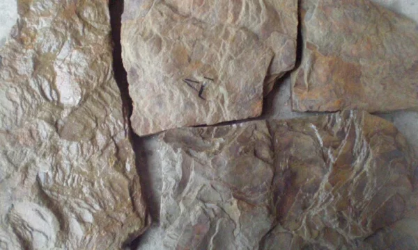 Камень натуральный Дракон пластушка песчаник