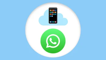 Виртуальный номер для Ватсап: удобство и конфиденциальность Виртуальный номер для Ватсап: удобство и конфиденциальность