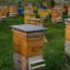 Готовый состав для обработки пчелиных ульев на основе нафтената меди