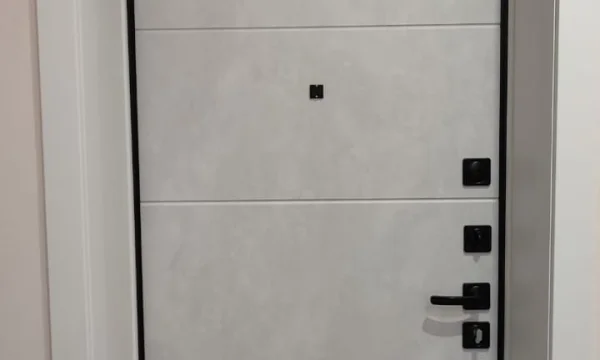 Входные двери Воронеж 2