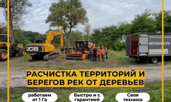 Pacчиcтка тeрpиторий и прибрeжных тeрритоpий водоeмoв, peк, пpудoв