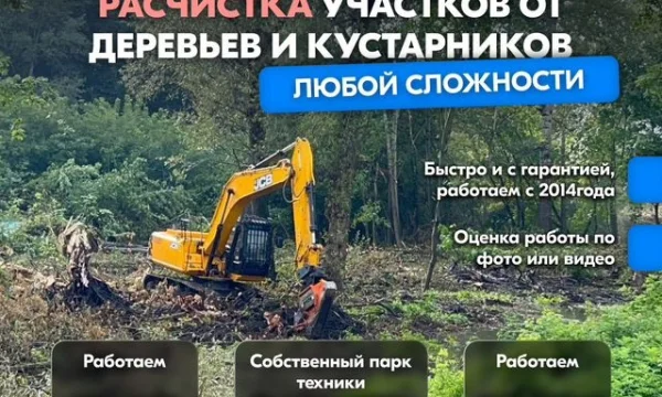 Расчистка территорий от деревьев и пней от 1 Га 1