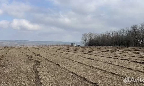 Расчистка территорий от деревьев и пней от 1 Га 1