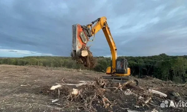 Расчистка территорий от деревьев и пней от 1 Га 2