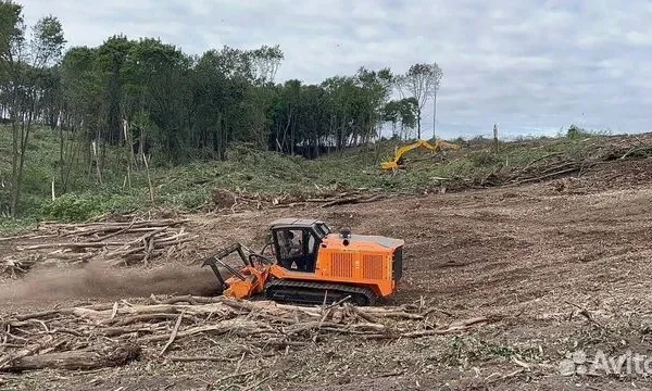 Расчистка территорий от деревьев и пней от 1 Га 3