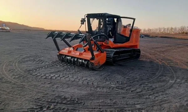 Расчистка территорий от деревьев и пней от 1 Га 3