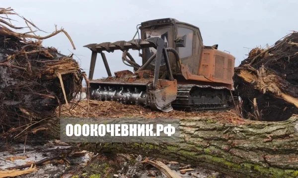 Расчистка участков от 1 га под &laquo;ключ&raquo; 2