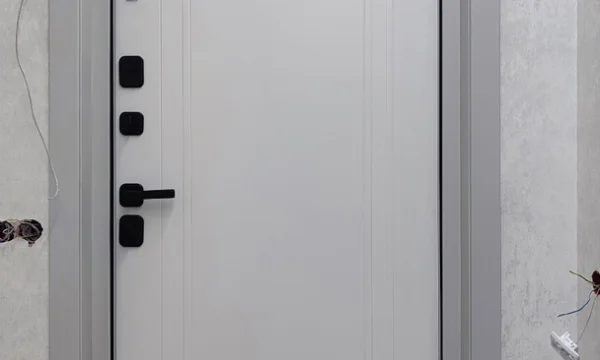 Входные металлические двери в Воронеже 1