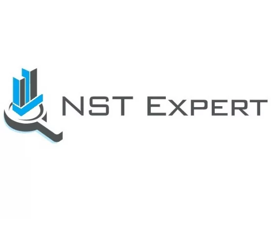 Nst-Expert - Строительная экспертиза и оценка