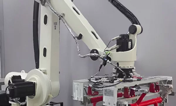 Клещевой захват для укладки мешков на промышленный робот