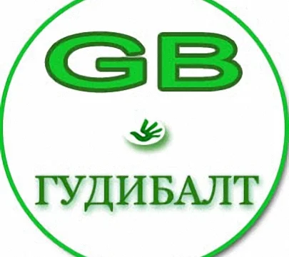 ГудиБалт