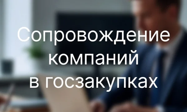 Услуги юриста по госзакупкам. Тендерное сопровождение под ключ в Екатеринбурге 0