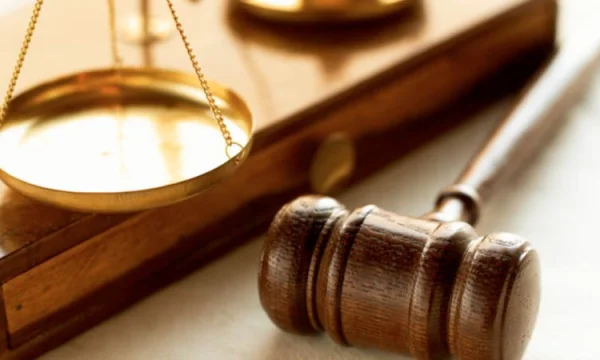 Защита прав юридических лиц во Владивостоке 0