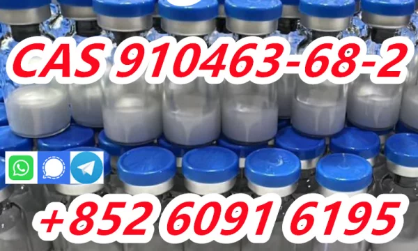 Semaglutide CAS 910463-68-2 Source Factory Sell Weight loss Peptides