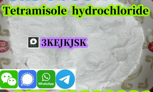 Тетрамизол гидрохлорид порошок Cas 5086-74-8 качество гарантировано лучший сервис
