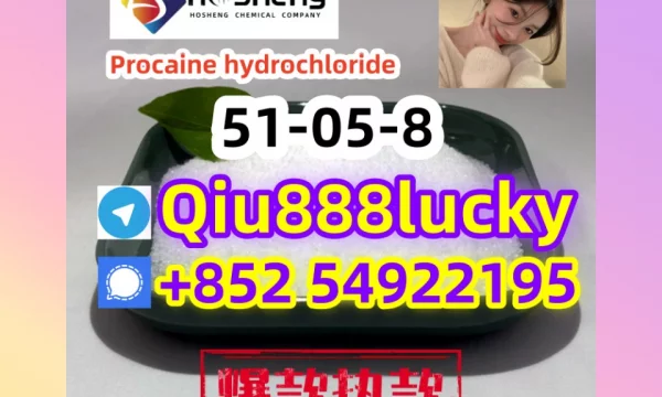 51-05-8 Procaine hydrochloride