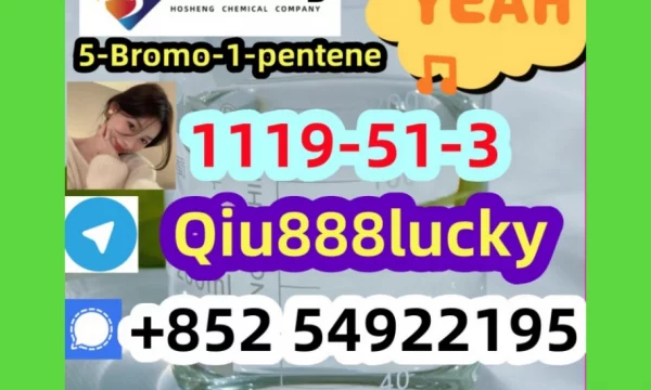 1119-51-3 5-Bromo-1-pentene