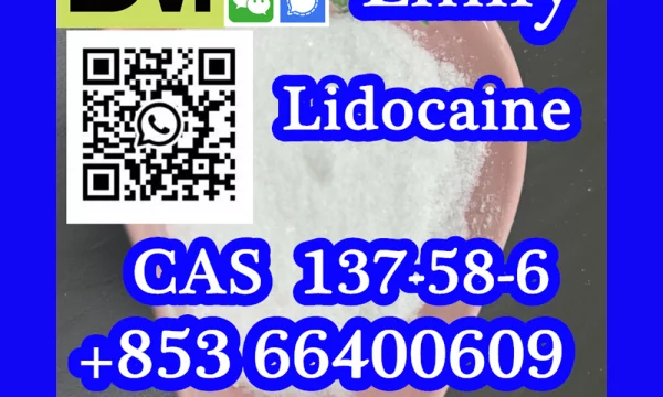 CAS 137-58-6 Lidocaine China factory sales low price high purity good quality hot selling safe delivery fast delivery